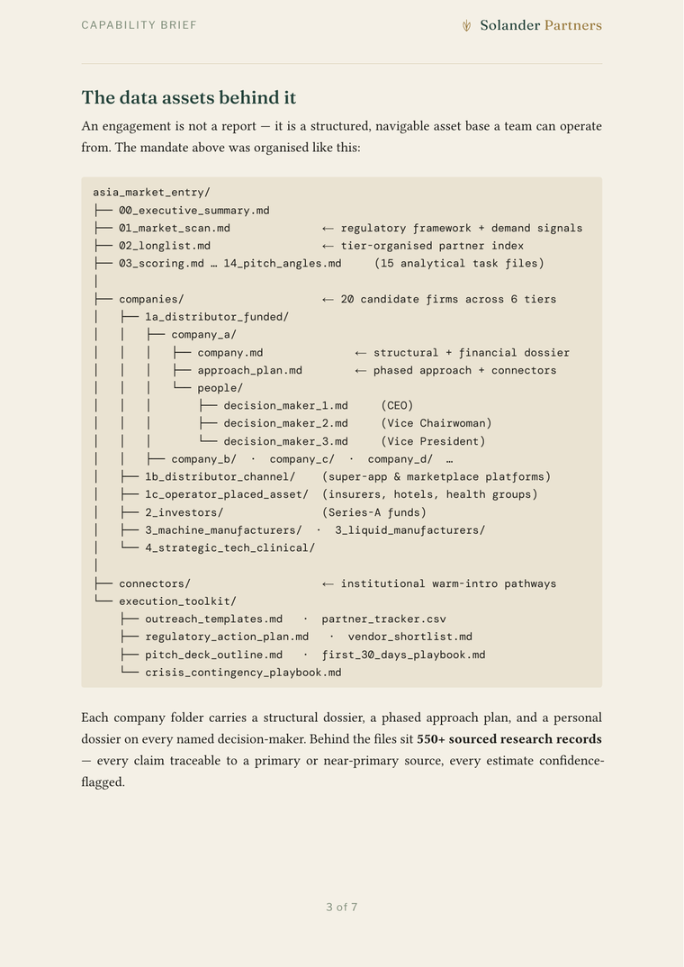 Sanitised brief page — a company dossier